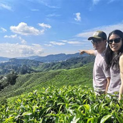 Review Special Price Cameron Highland Best Tour From Ipoh With Lunch Day Trip