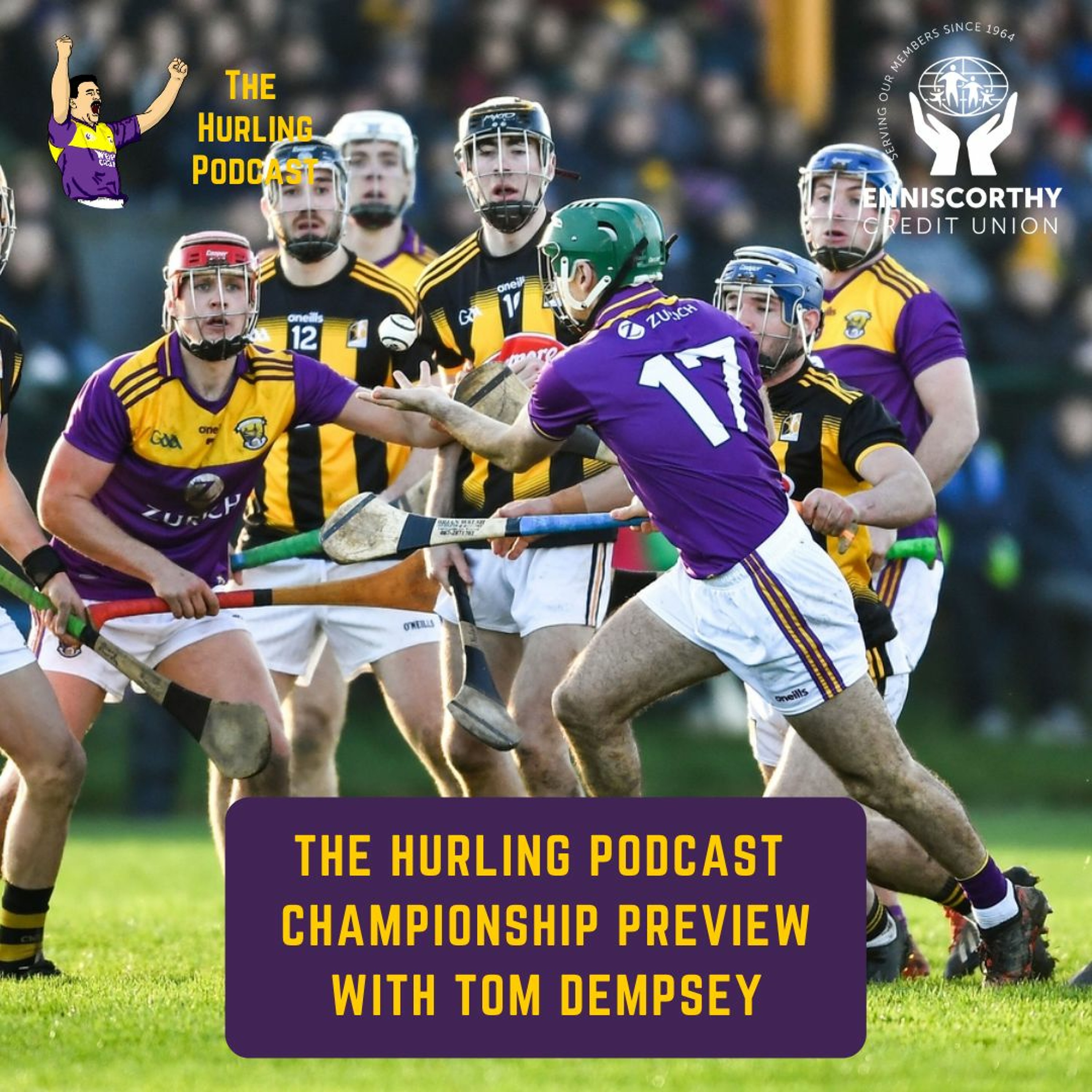 The Wexford Hurling Podcast