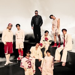 Stray Kids - In The Dark (Cover)