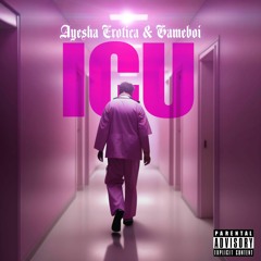 ICU - Ayesha Erotica, Gameboi
