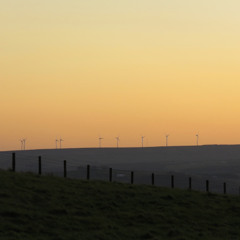 Blowin - 9 Mar 2025