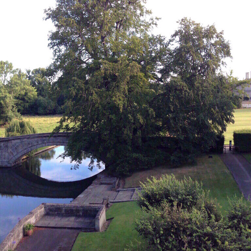 Stream Acousticonetakes Harry Chapin W O L D By The B Side Listen Online For Free On Soundcloud