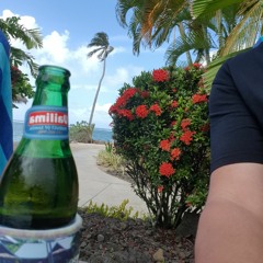 Stan Walker  - Army Falls (Mt. Zion)