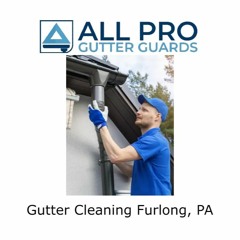 Gutter Cleaning Furlong, PA