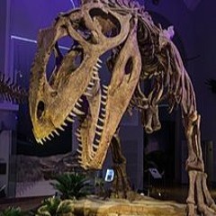 🦕Bass Music 9🦖