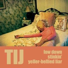 Lowdown Stinkin' Yeller-Bellied Liar