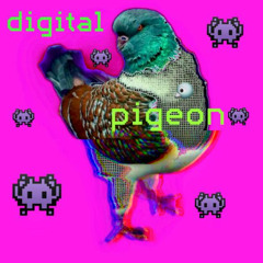 digital pigeon