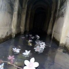 Corporeal (2024) Ensamble Univ. O'higgins