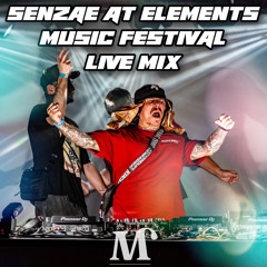 SENZAE AT ELEMENTS MUSIC FESTIVAL