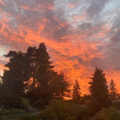 chihiro (cover) Billie Eilish