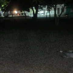 raw/RAW othello rreal life (prod. waspx)