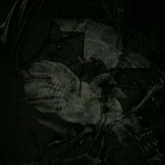 CONVERSATING WITH THE REAPER