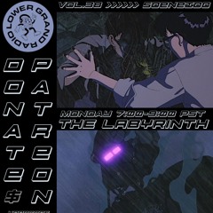 The Labyrinth vol.38 (All Unreleased Tracks)