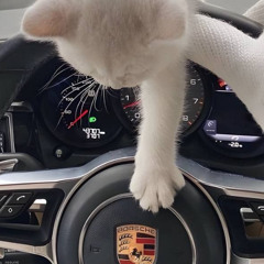 Airberlin x Headlock