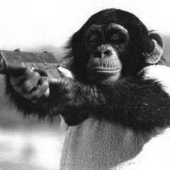 tnb diss