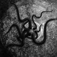 MARLEY - LEECHES ( DRNT )