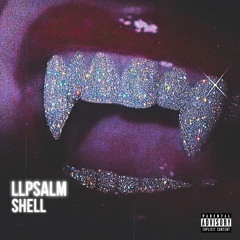 Shell ft.Zvyy (33kami)