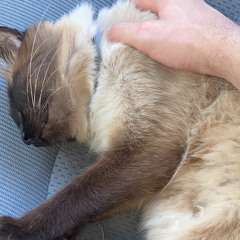 ich war sooo in love prod. Noah808