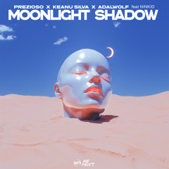 Moonlight Shadow (feat. Ninkid)