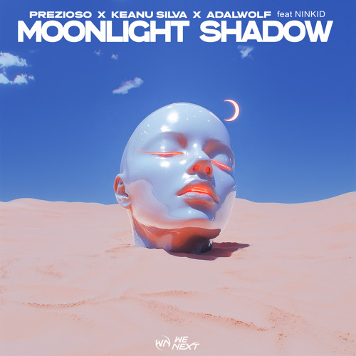 Moonlight Shadow (feat. Ninkid)