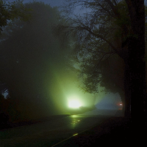 A Light Emerges