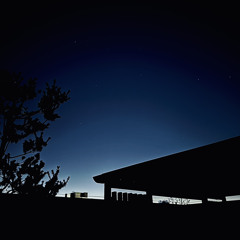 KIRINJI - エイリアンズ Aliens 「acoustic guitar short cover」