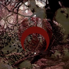 ᛊᚲᚱᛁ Ritual to Reality (200-205Bpm)