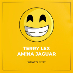 Terry Lex, AM!NA JAGUAR - What_s Next (Extended Mix)