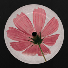 [FREE DOWNLOAD] Juan Dhalgren - Catarsis