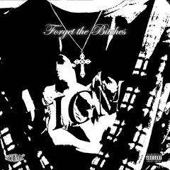 FORGET THE BITCHES® (prod @hbaby.mp3)