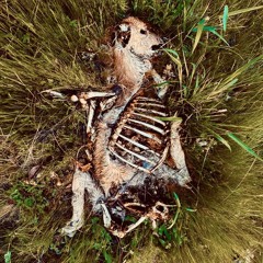 Unbecoming (Bedroom Sessions)