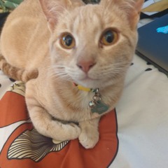 Mysteries- Friday at 11-57.m4a