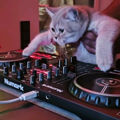 Alles Neu Hardgroove/Hardtechno Edit