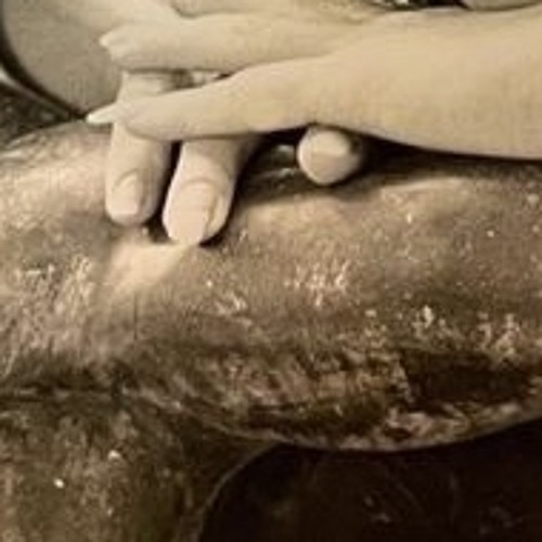 racks-out (p. coreystax)