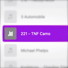 221 - TNF Camo