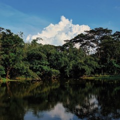 Oh, Round_Lake - Novo Amor