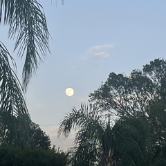 sunlight on your skin (gotasleep remix) prod.kuroime