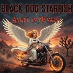 Angel in Nervada .mp3