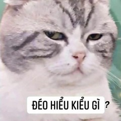 姑娘在遠方 DJ Rin 抖音版 2023 Cô Gái Ở Phương Xa Remix Tiktok  Hot Tiktok Douyin.mp3
