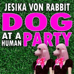 DOG AT A HUMAN PARTY