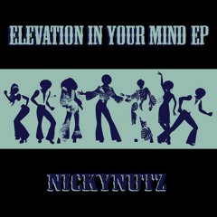 Nickynutz - Bang Bang [Elevation In Your Mind EP, buy button under player]