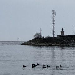 Sedef Sebüktekin ~ Bul Beni - (Latif ve ben(cover))