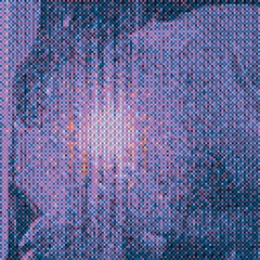 lombra_di_noi_flip.mp3