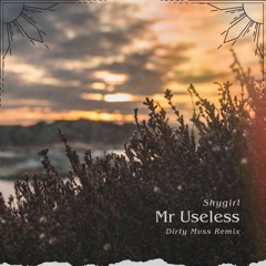 Shygirl - Mr Useless (Dirty Mvss Remix)
