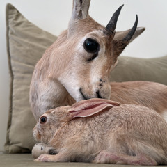 ‎⁨محمد عبده - يا سيدي  ⁩.m4a