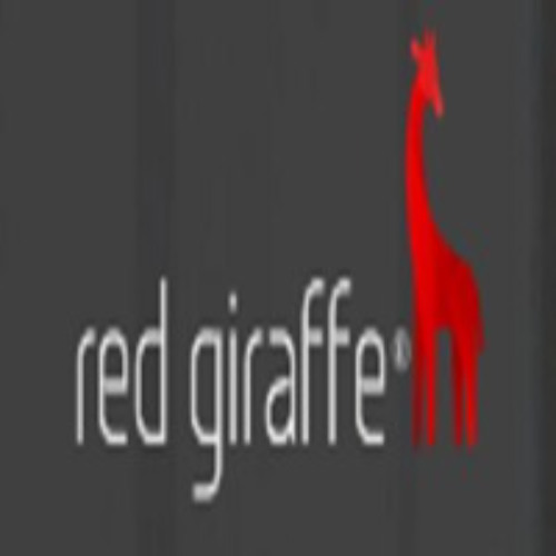 Red Giraffe Top Web design Agency in Milton Keynes