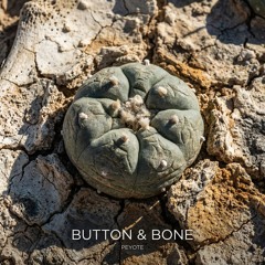 BUTTON & BONE (Pharmakon. Part II)