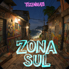 ZONA SUL (Original Mix)