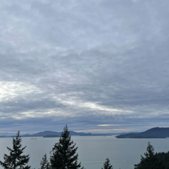 VOYAGE (Demon Time Acapella)