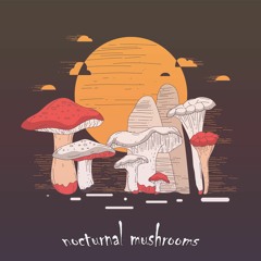 SAKÜ - nocturnal mushrooms